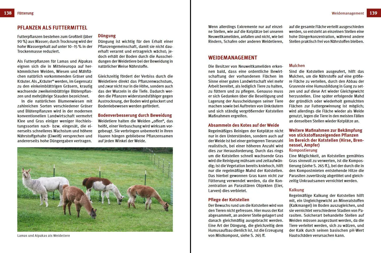 Bild: 9783702019310 | Alpakas &amp; Lamas | Begleiter aus der neuen Welt | Johanna Czerny | Buch