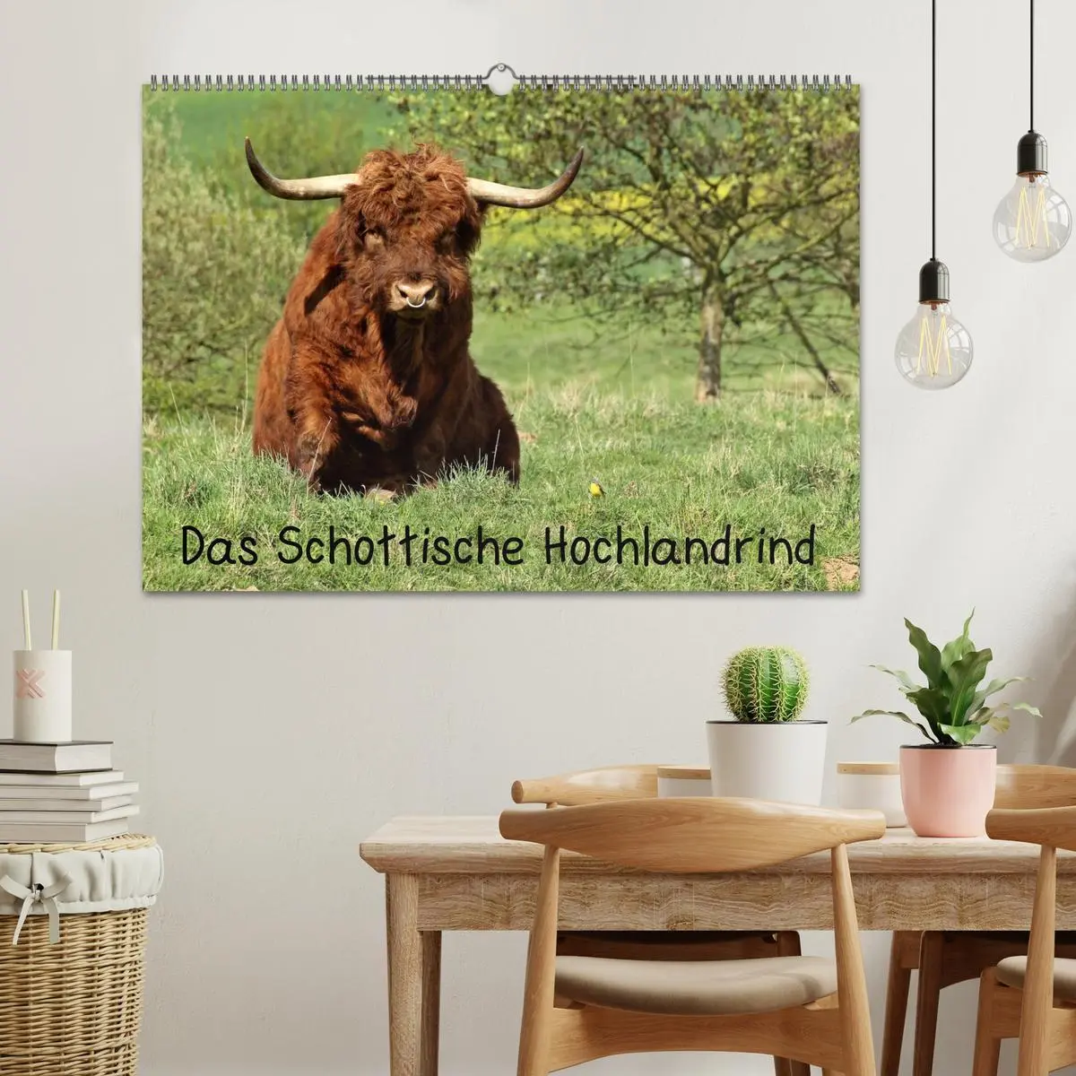 Bild: 9783457969410 | Das Schottische Hochlandrind (Wandkalender 2026 DIN A2 quer),...