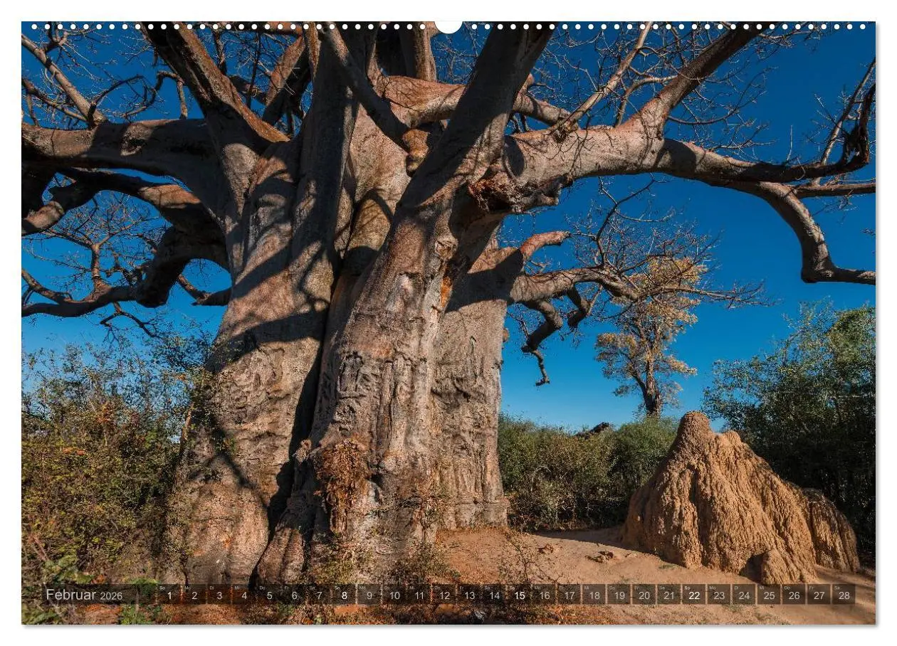 Bild: 9783516059410 | Botswana - Landschaft und Tierwelt (Wandkalender 2026 DIN A2 quer),...
