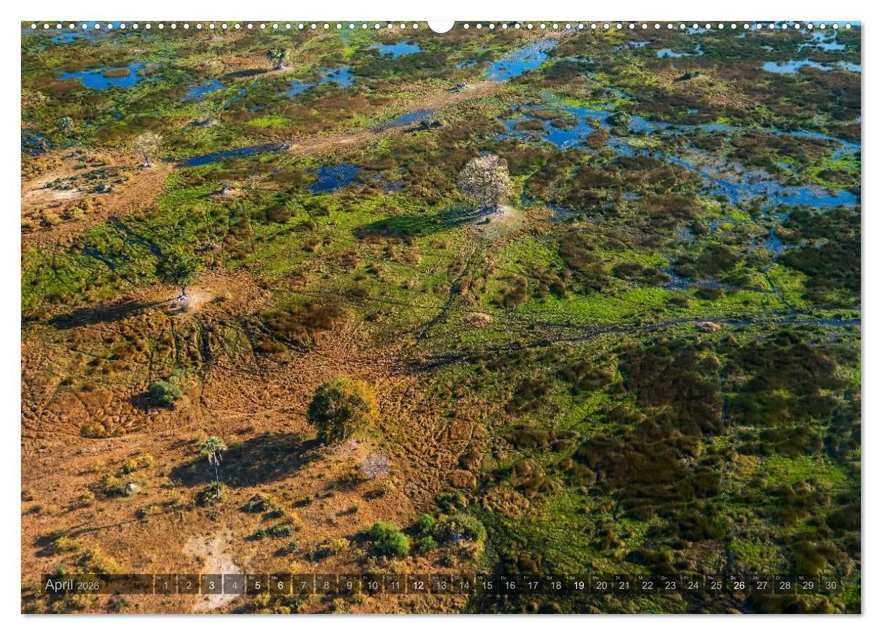 Bild: 9783516059410 | Botswana - Landschaft und Tierwelt (Wandkalender 2026 DIN A2 quer),...