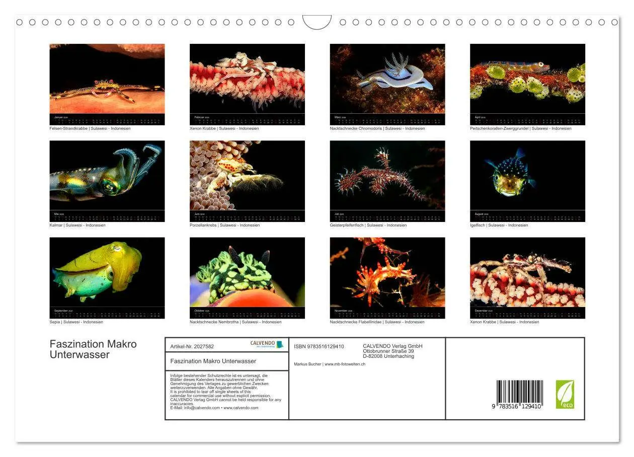 Bild: 9783516129410 | Faszination Makro Unterwasser (Wandkalender 2026 DIN A3 quer),...
