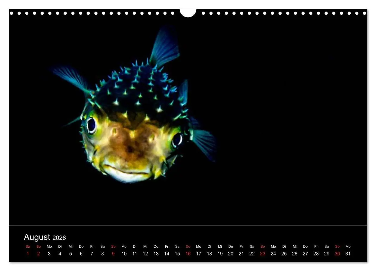 Bild: 9783516129410 | Faszination Makro Unterwasser (Wandkalender 2026 DIN A3 quer),...