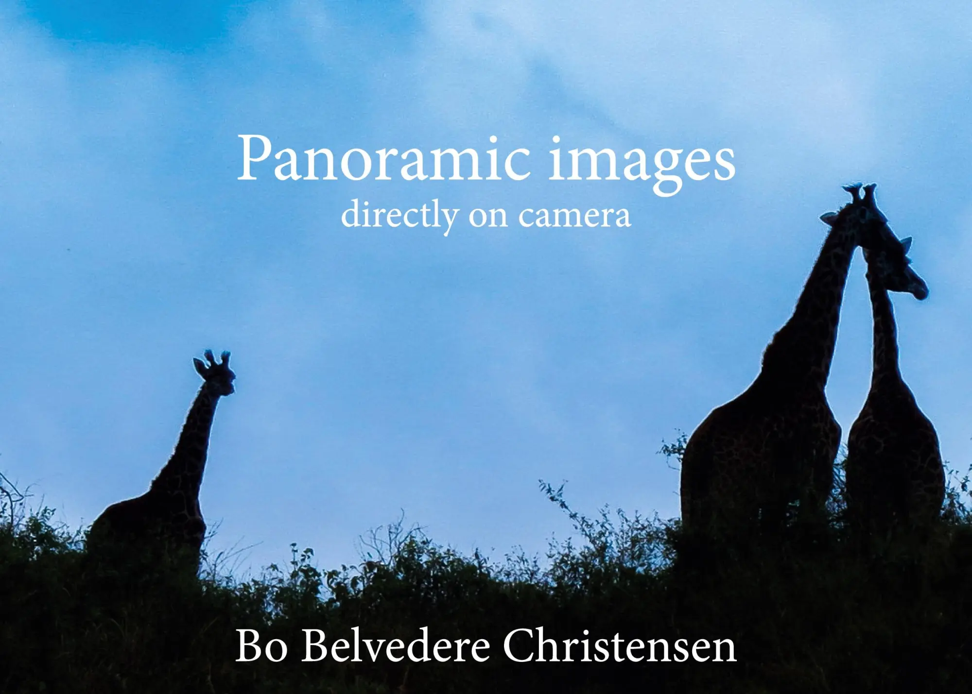 Cover: 9788743029410 | Panoramic images | directly on camera | Bo Belvedere Christensen