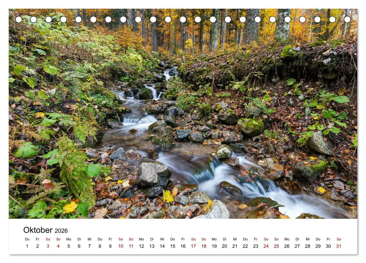 Bild: 9783457639610 | Freiburg, Drumherum (Tischkalender 2026 DIN A5 quer), CALVENDO...