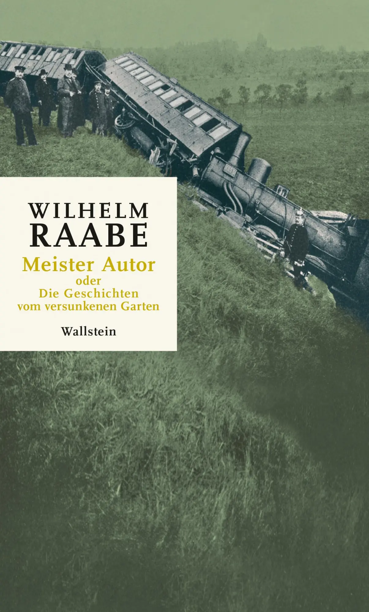 Cover: 9783835359710 | Meister Autor | oder Die Geschichten vom versunkenen Garten | Raabe