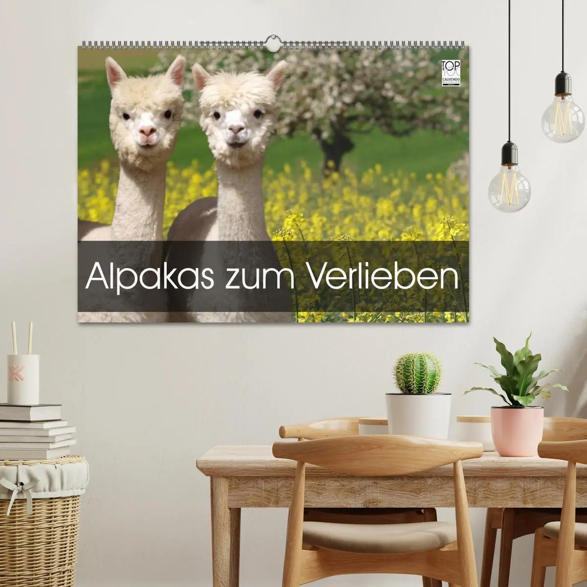 Bild: 9783516019810 | Alpakas zum Verlieben (Wandkalender 2026 DIN A2 quer), CALVENDO...