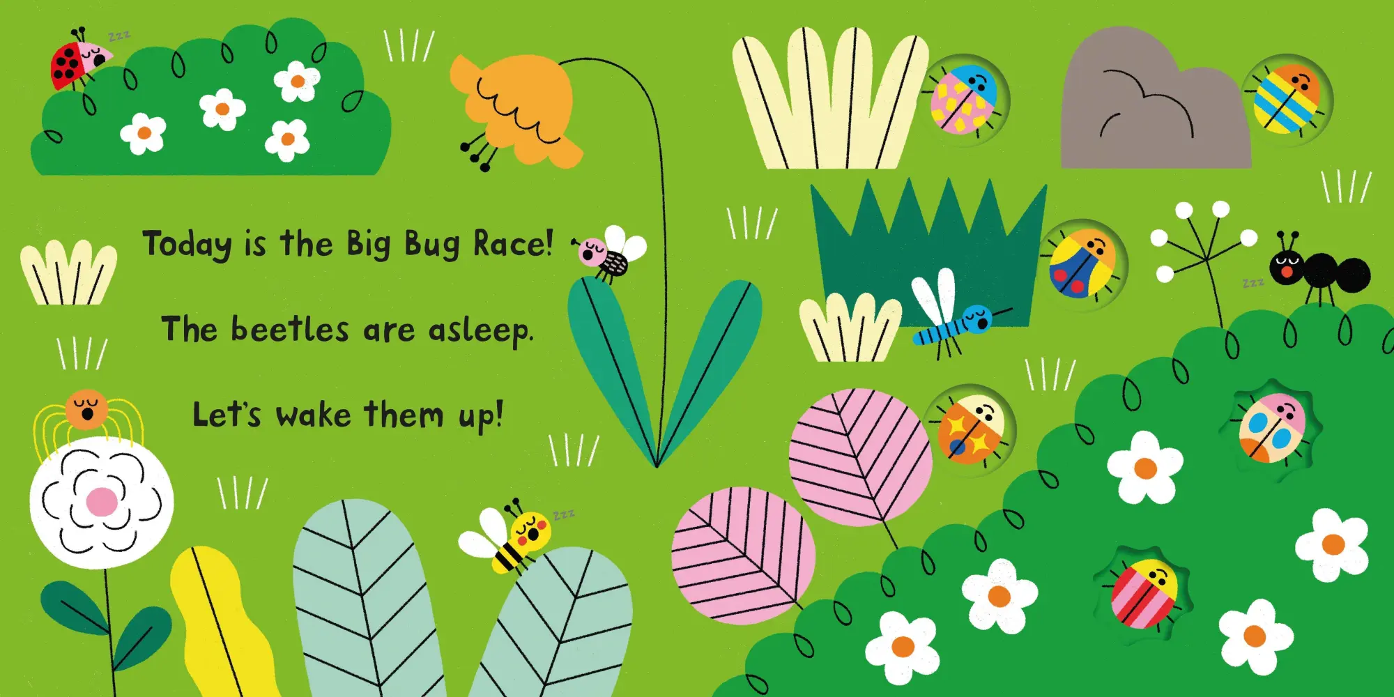 Bild: 9781035069910 | Ready, Steady, Race! Bugs | Macmillan Children's Books | Buch | 10 S.