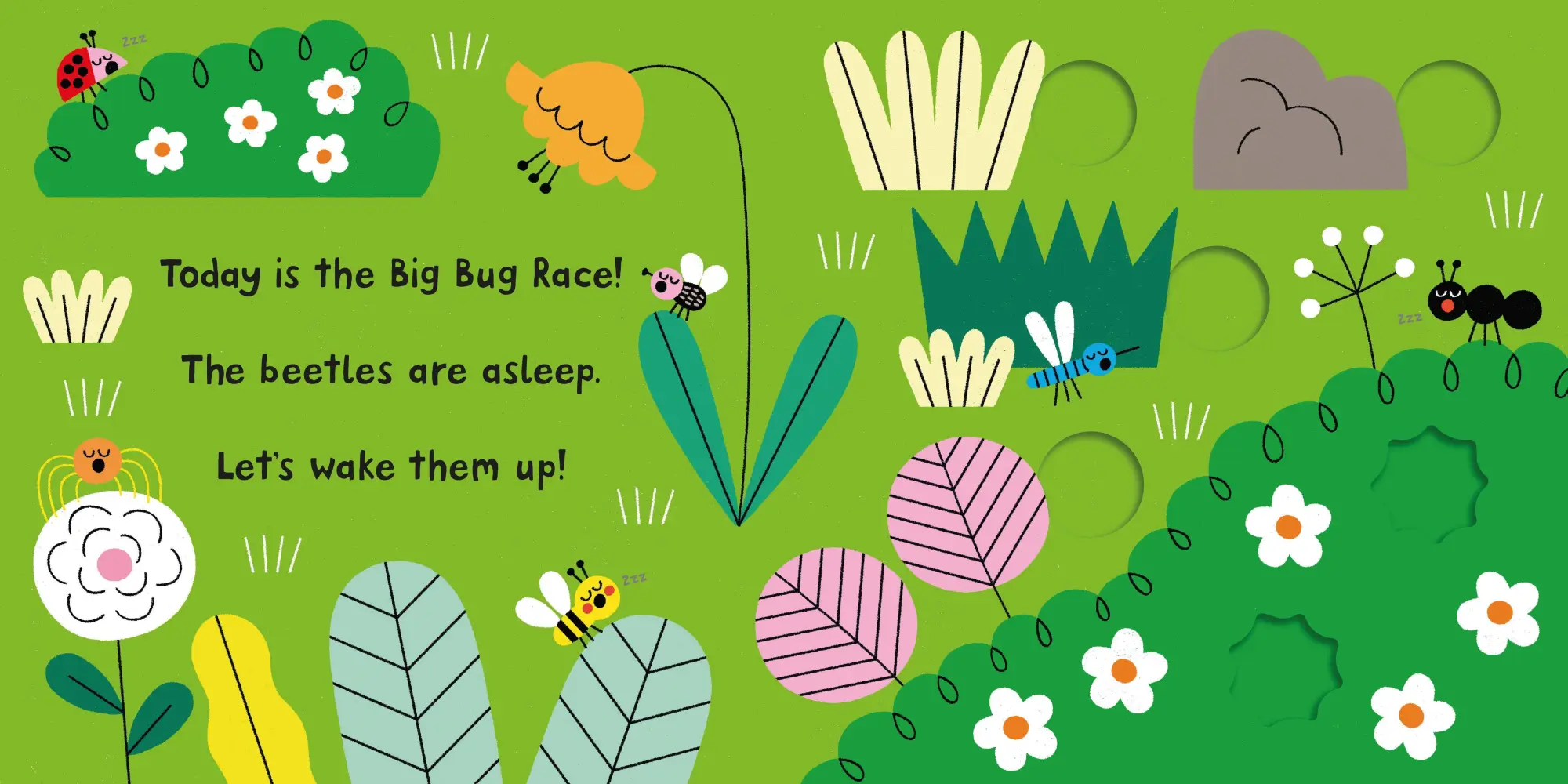 Bild: 9781035069910 | Ready, Steady, Race! Bugs | Macmillan Children's Books | Buch | 10 S.