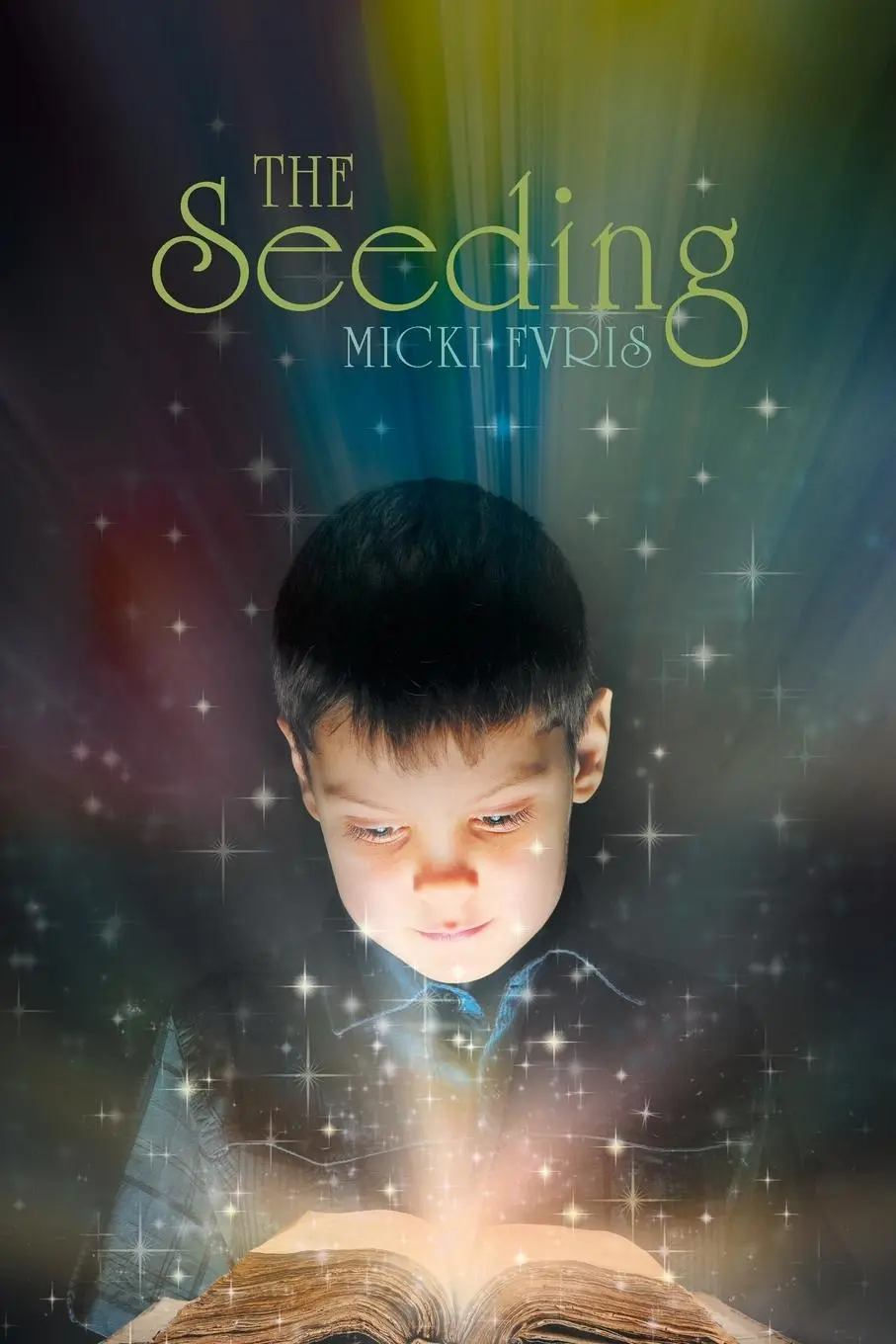 Cover: 9781504329910 | The Seeding | Micki Evris | Taschenbuch | Englisch | 2015