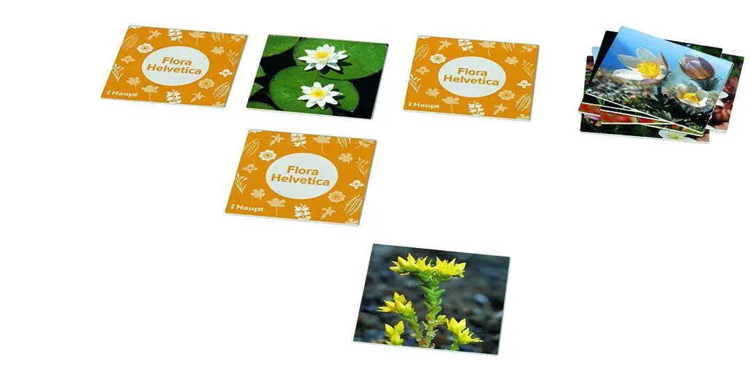 Bild: 9783258800011 | Flora Helvetica - das Memo-Spiel | Haupt Verlag | Spiel | Deutsch