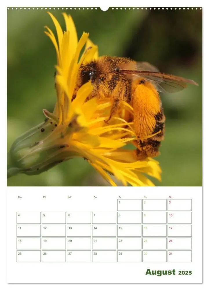 Bild: 9783457030011 | Bienen-Terminplaner 2025 (Wandkalender 2025 DIN A2 hoch), CALVENDO...