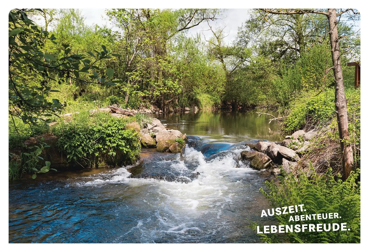 Bild: 9783616110011 | 52 kleine &amp; große Eskapaden in und um Würzburg | Ab nach draußen!
