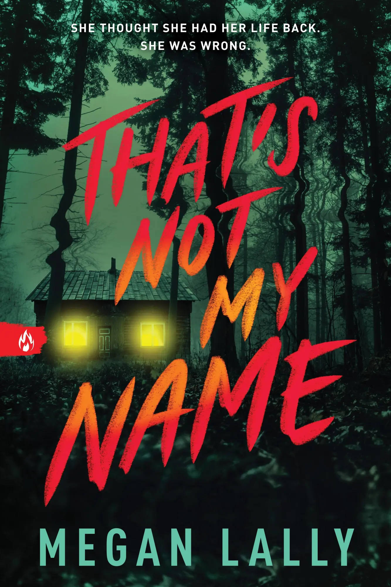 Cover: 9781728270111 | That's Not My Name | Megan Lally | Taschenbuch | 304 S. | Englisch