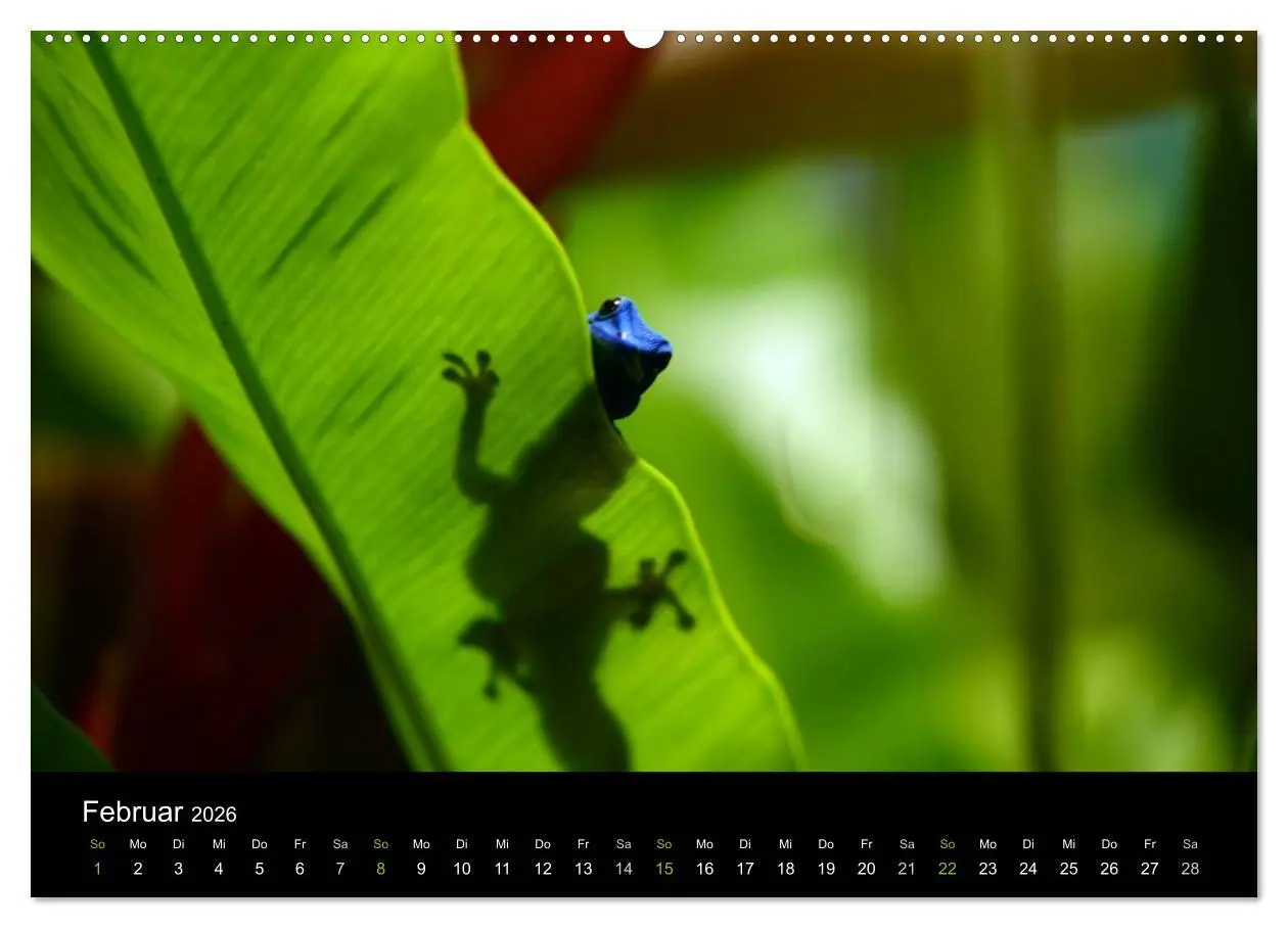 Bild: 9783516110111 | Reptilien (hochwertiger Premium Wandkalender 2026 DIN A2 quer),...