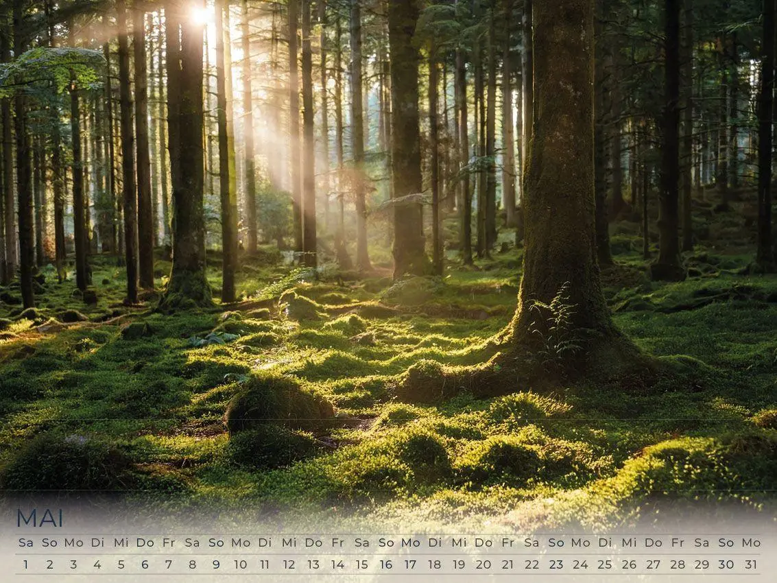Bild: 9783693570111 | Faszination Irland Kalender 2027 | Susanne Pommer (u. a.) | Kalender