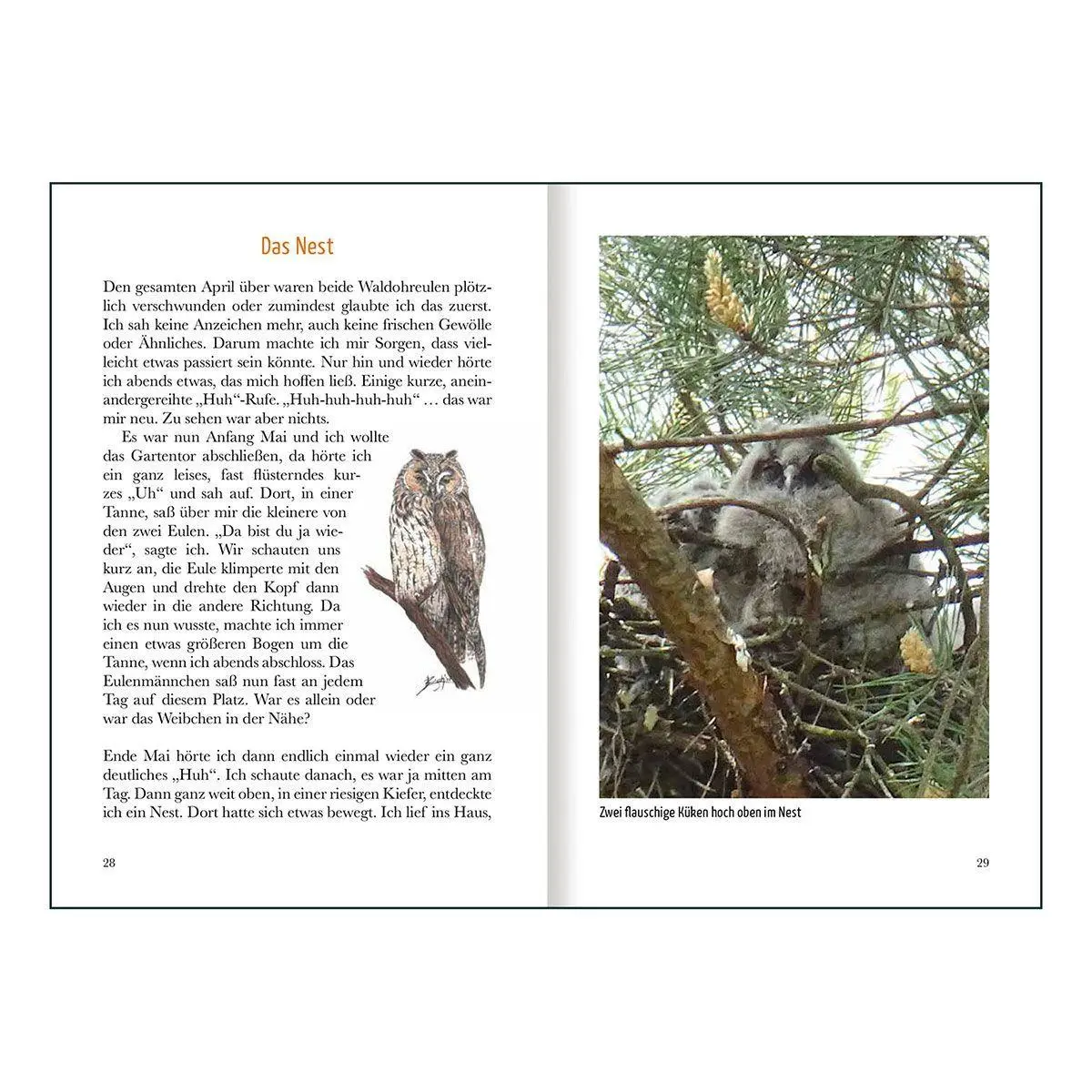 Bild: 9783746270111 | Mein Sommer mit der kleinen Eule Oti | Ein Tagebuch | Buch | 112 S.