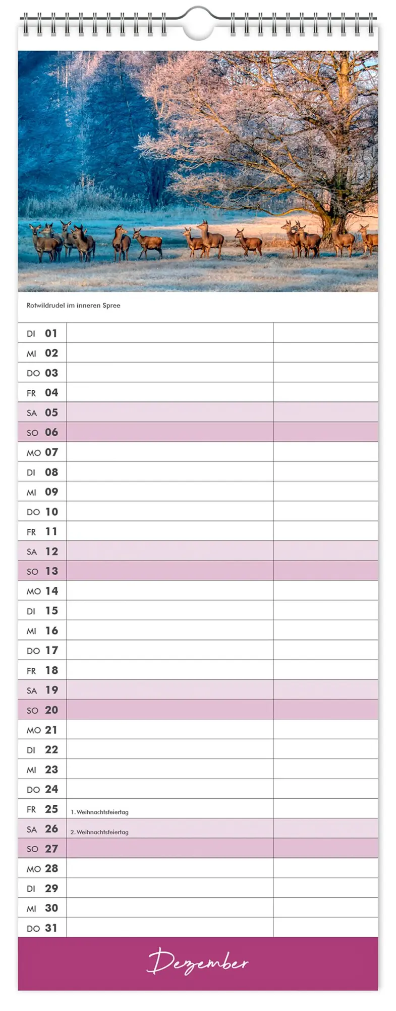 Bild: 9783910680111 | Küchenkalender Spreewald 2026 NEU! inkl. Rezepte | K4 Verlag (u. a.)