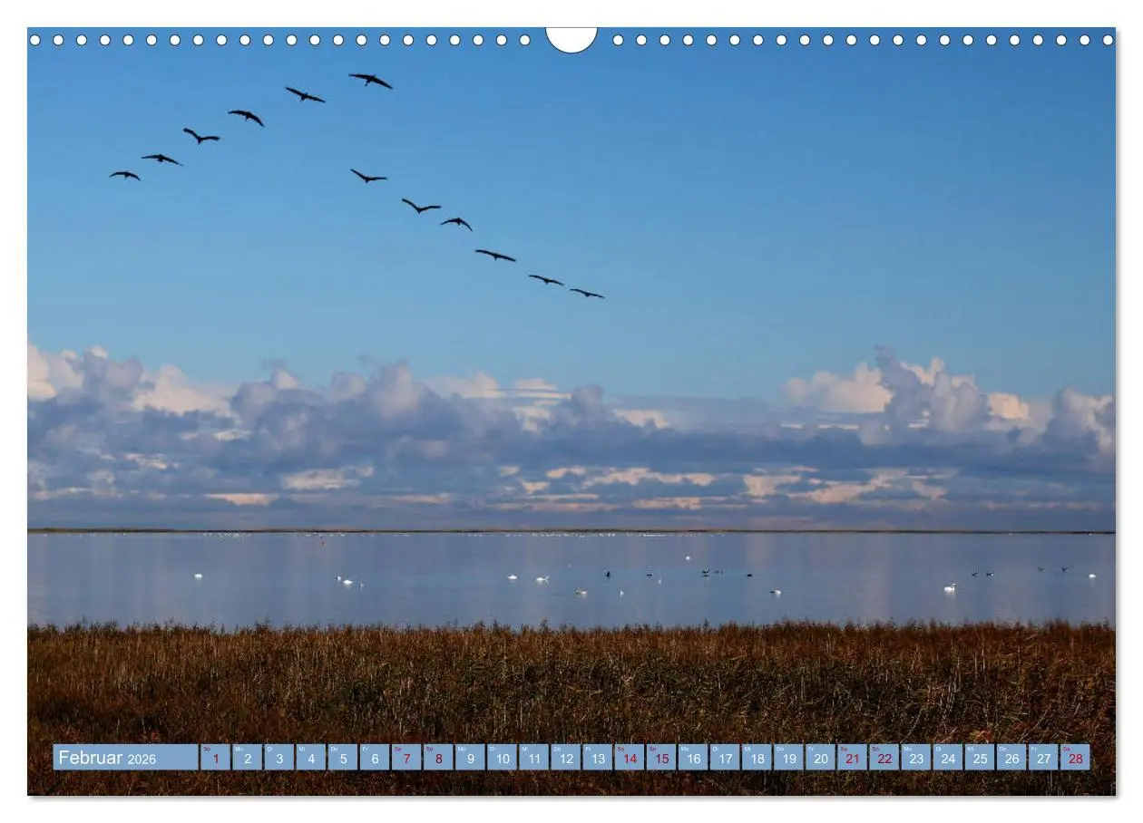 Bild: 9783457940211 | Stralsund und die Boddenlandschaft (Wandkalender 2026 DIN A3 quer),...