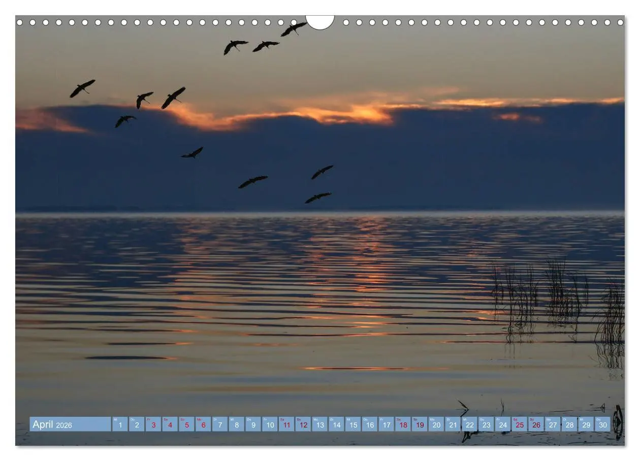 Bild: 9783457940211 | Stralsund und die Boddenlandschaft (Wandkalender 2026 DIN A3 quer),...