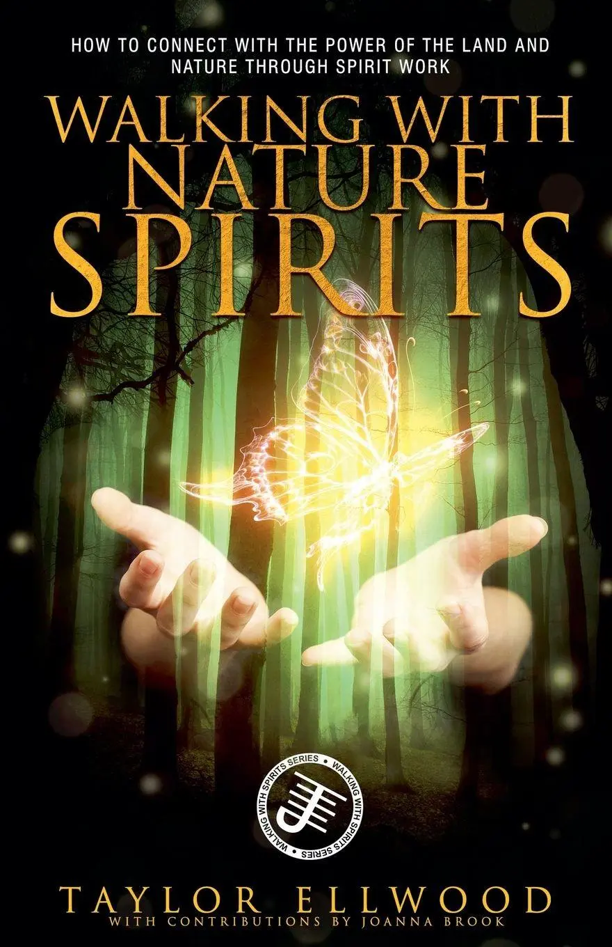 Cover: 9798223170211 | Walking with Nature Spirits | Taylor Ellwood | Taschenbuch | Englisch