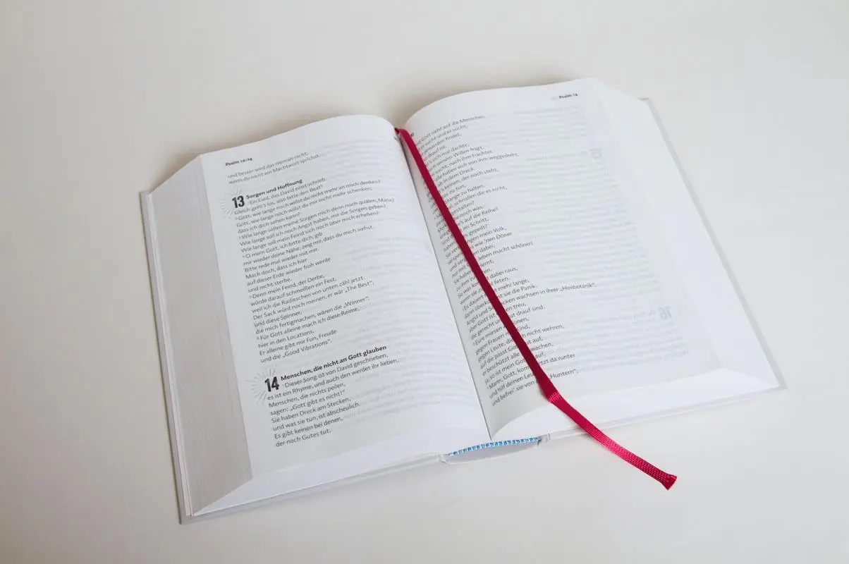 Bild: 9783417020311 | Volxbibel - next level | Martin Dreyer | Buch | mit Lesebändchen