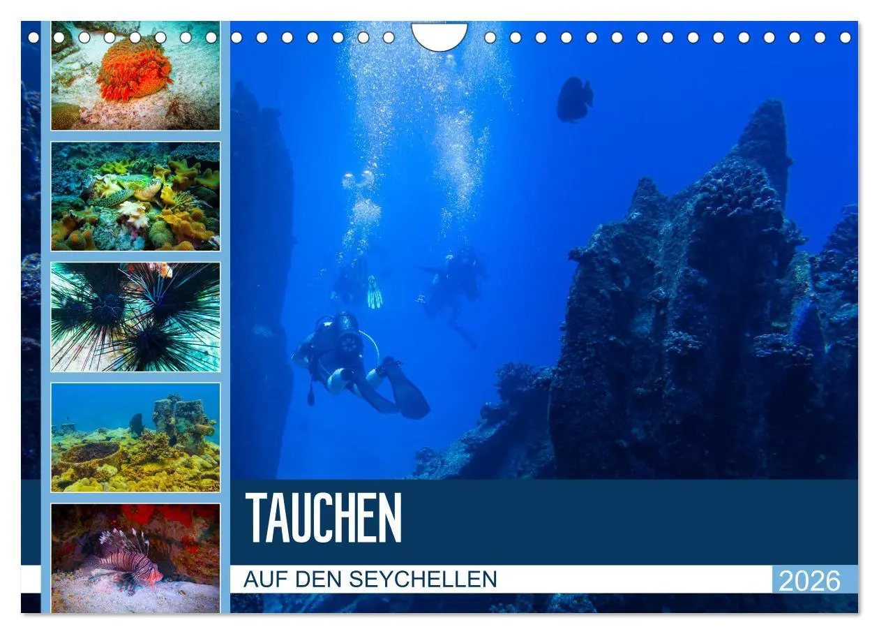 Cover: 9783457860311 | Tauchen auf den Sychellen (Wandkalender 2026 DIN A4 quer), CALVENDO...