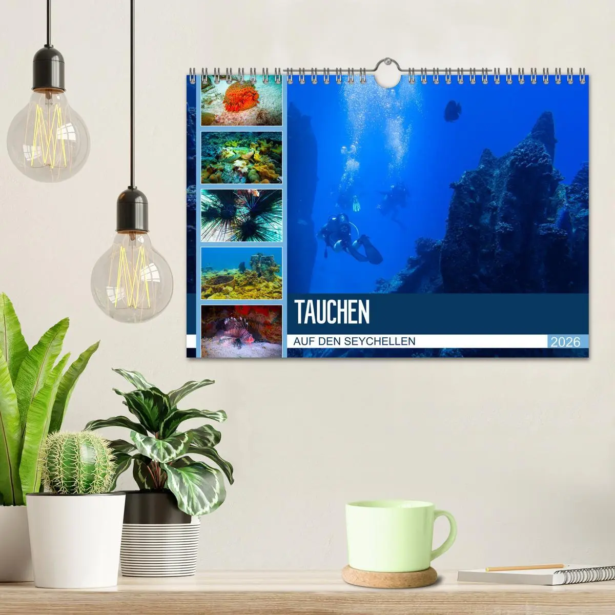 Bild: 9783457860311 | Tauchen auf den Sychellen (Wandkalender 2026 DIN A4 quer), CALVENDO...