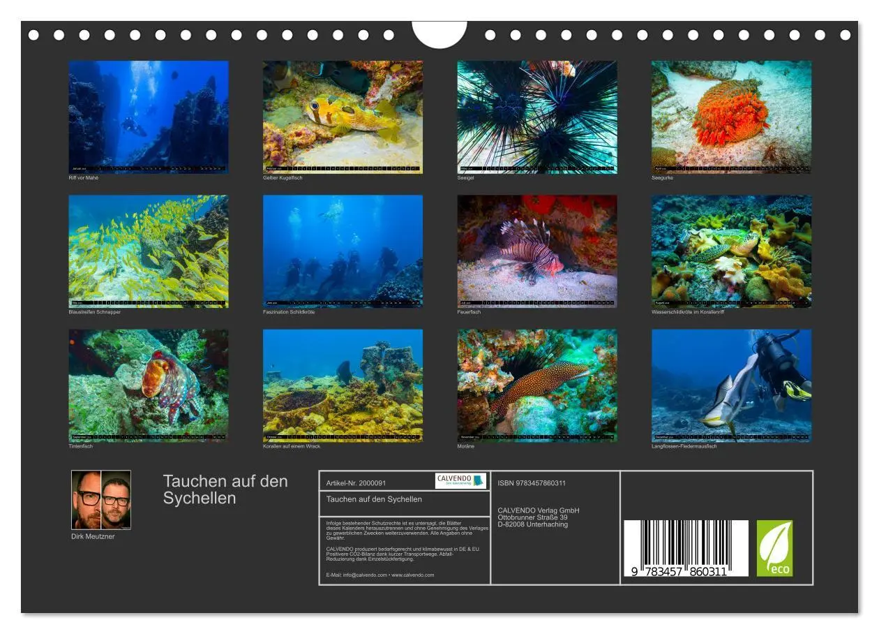 Bild: 9783457860311 | Tauchen auf den Sychellen (Wandkalender 2026 DIN A4 quer), CALVENDO...