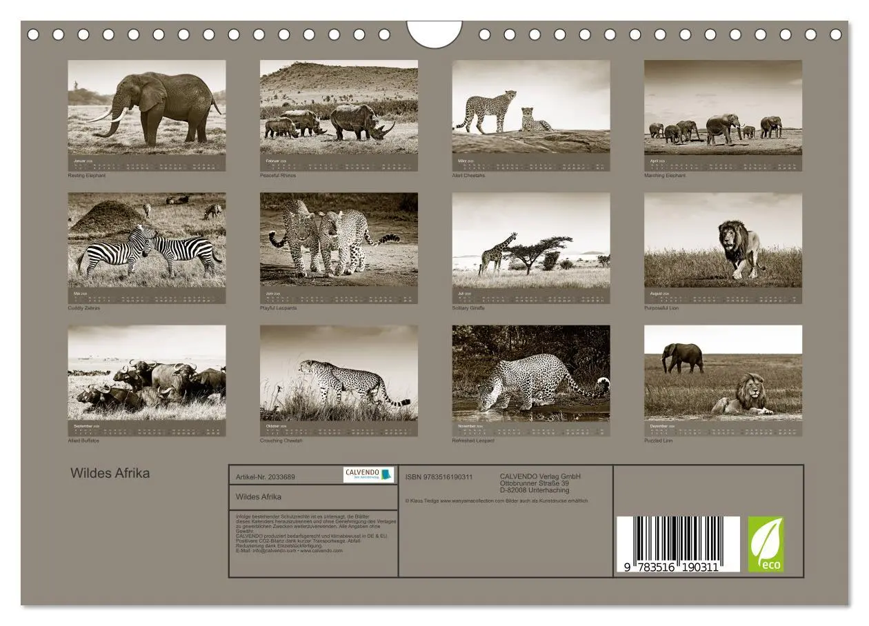 Bild: 9783516190311 | Wildes Afrika (Wandkalender 2026 DIN A4 quer), CALVENDO Monatskalender