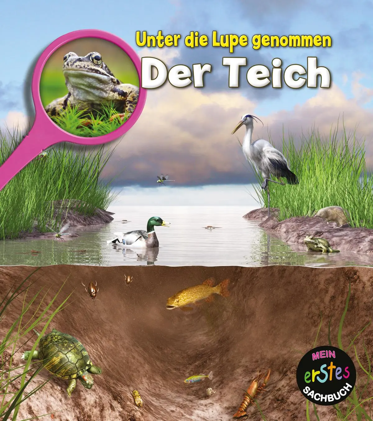 Cover: 9789463410311 | Der Teich | Unter die Lupe genommen | Louise Spilsbury | Buch | 32 S.