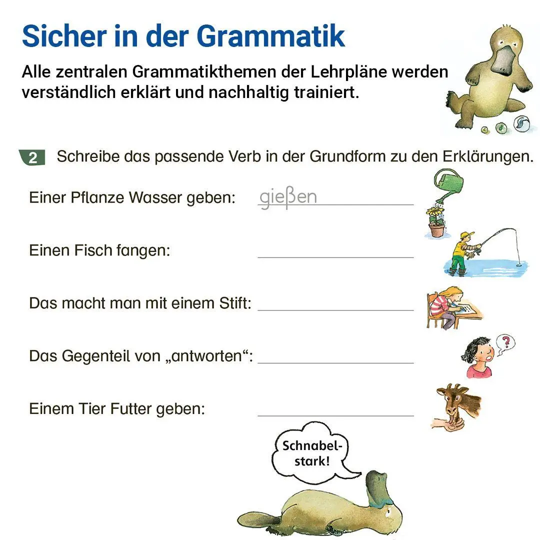 Bild: 9783619520411 | Grammatik mit Rico Schnabel, Klasse 5 | Stefanie Drecktrah (u. a.)