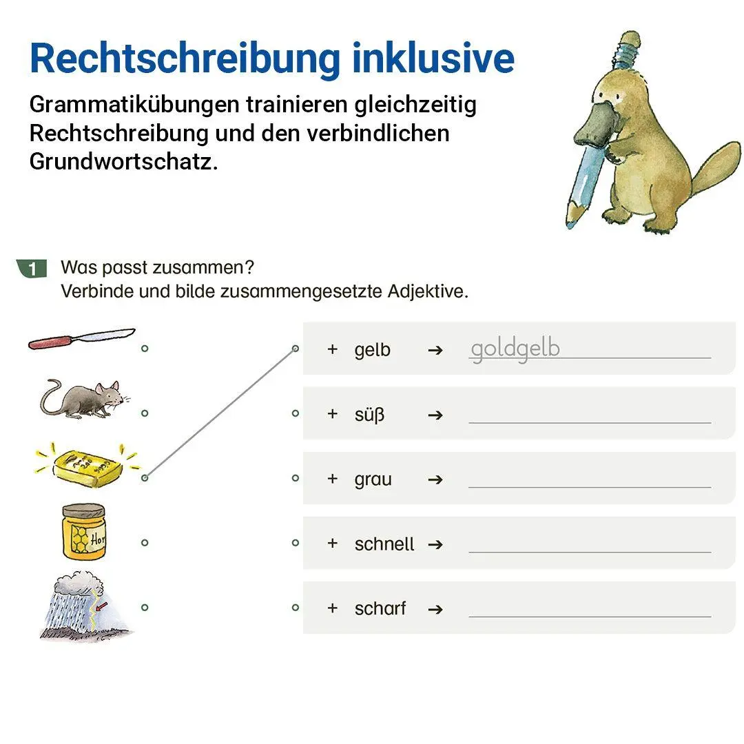 Bild: 9783619520411 | Grammatik mit Rico Schnabel, Klasse 5 | Stefanie Drecktrah (u. a.)