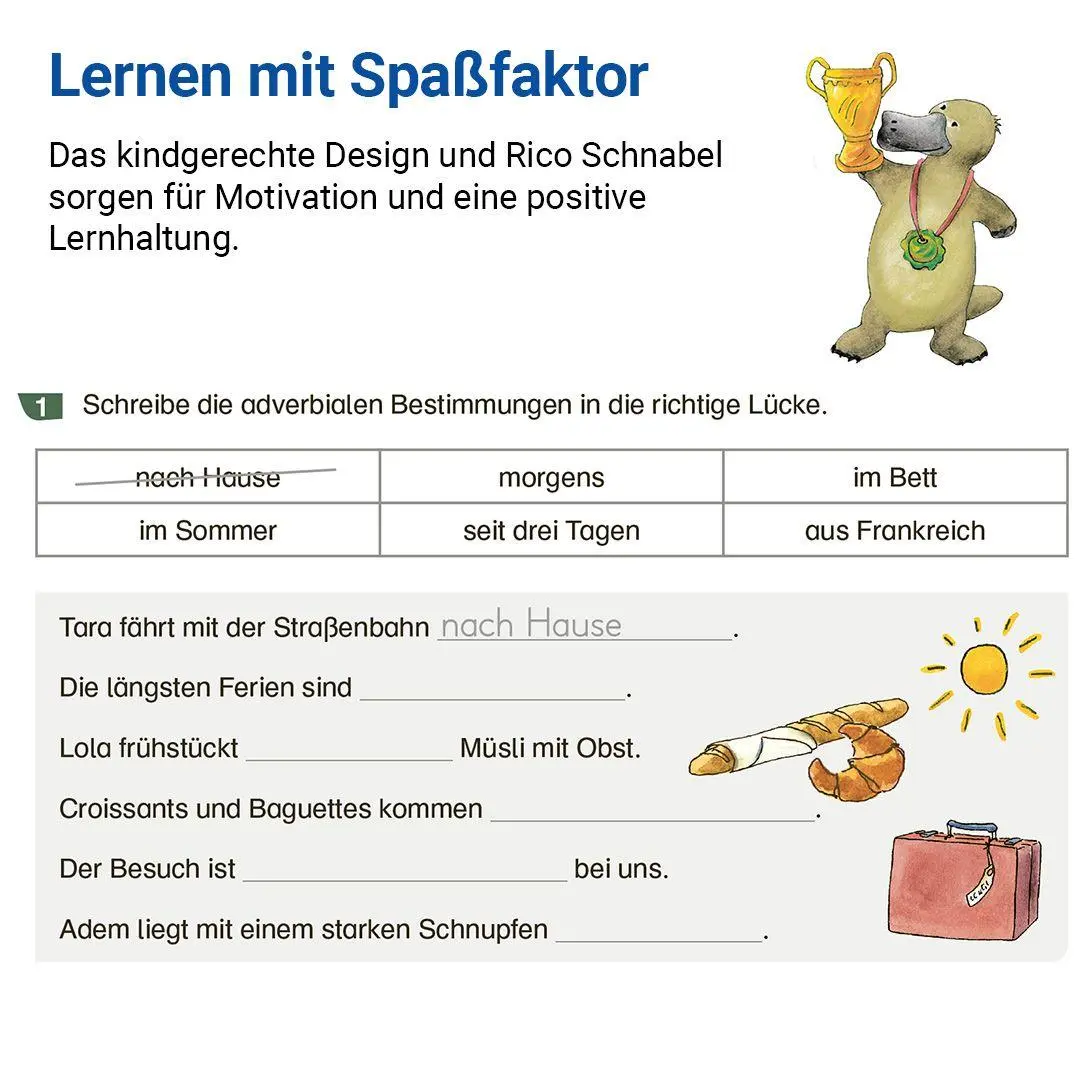 Bild: 9783619520411 | Grammatik mit Rico Schnabel, Klasse 5 | Stefanie Drecktrah (u. a.)