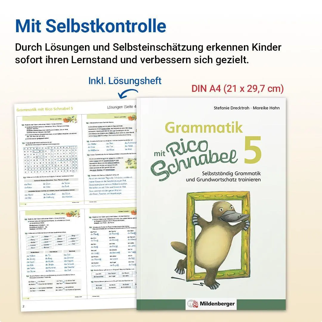 Bild: 9783619520411 | Grammatik mit Rico Schnabel, Klasse 5 | Stefanie Drecktrah (u. a.)