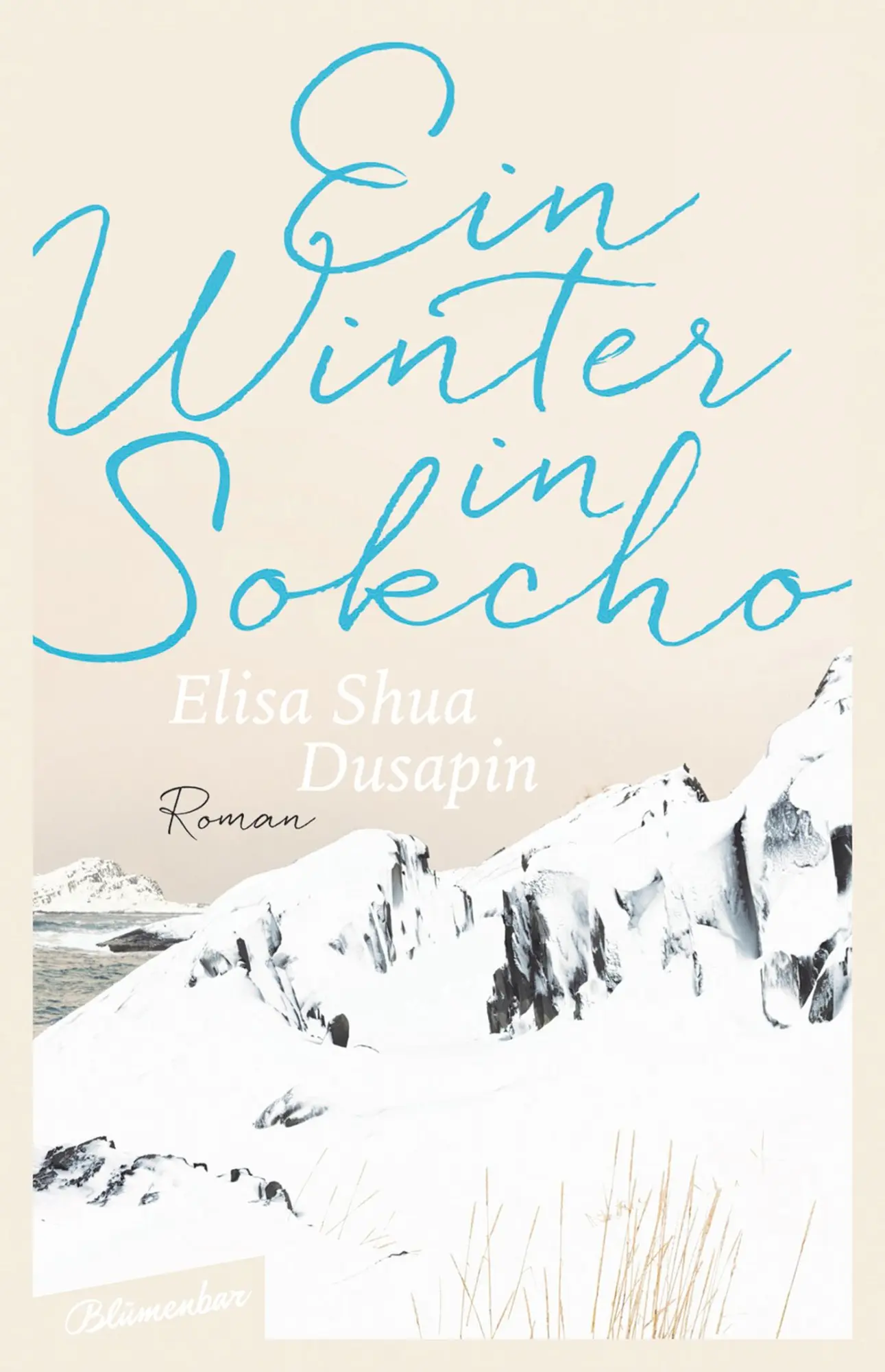 Cover: 9783351050511 | Ein Winter in Sokcho | Roman | Elisa Shua Dusapin | Buch | 144 S.