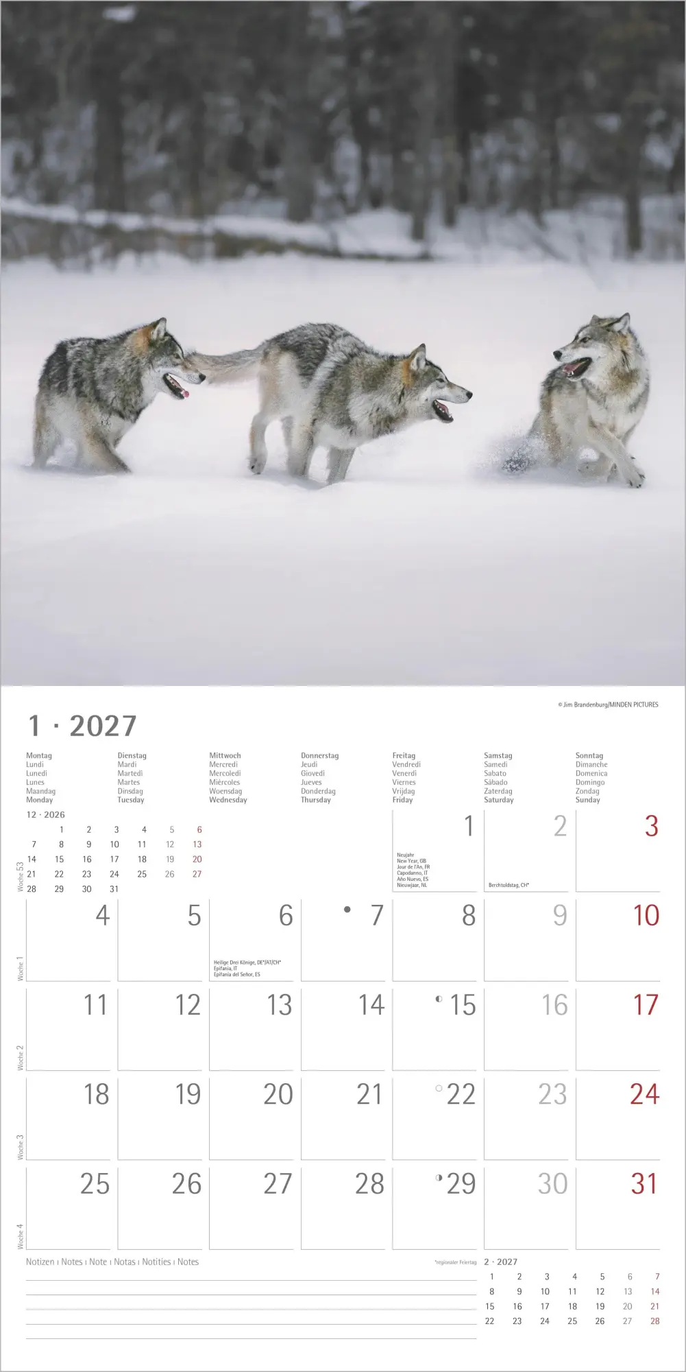 Bild: 4069095010611 | Wölfe 2027 | Neumann Verlage GmbH &amp; Co KG | Kalender | 14 S. | Deutsch