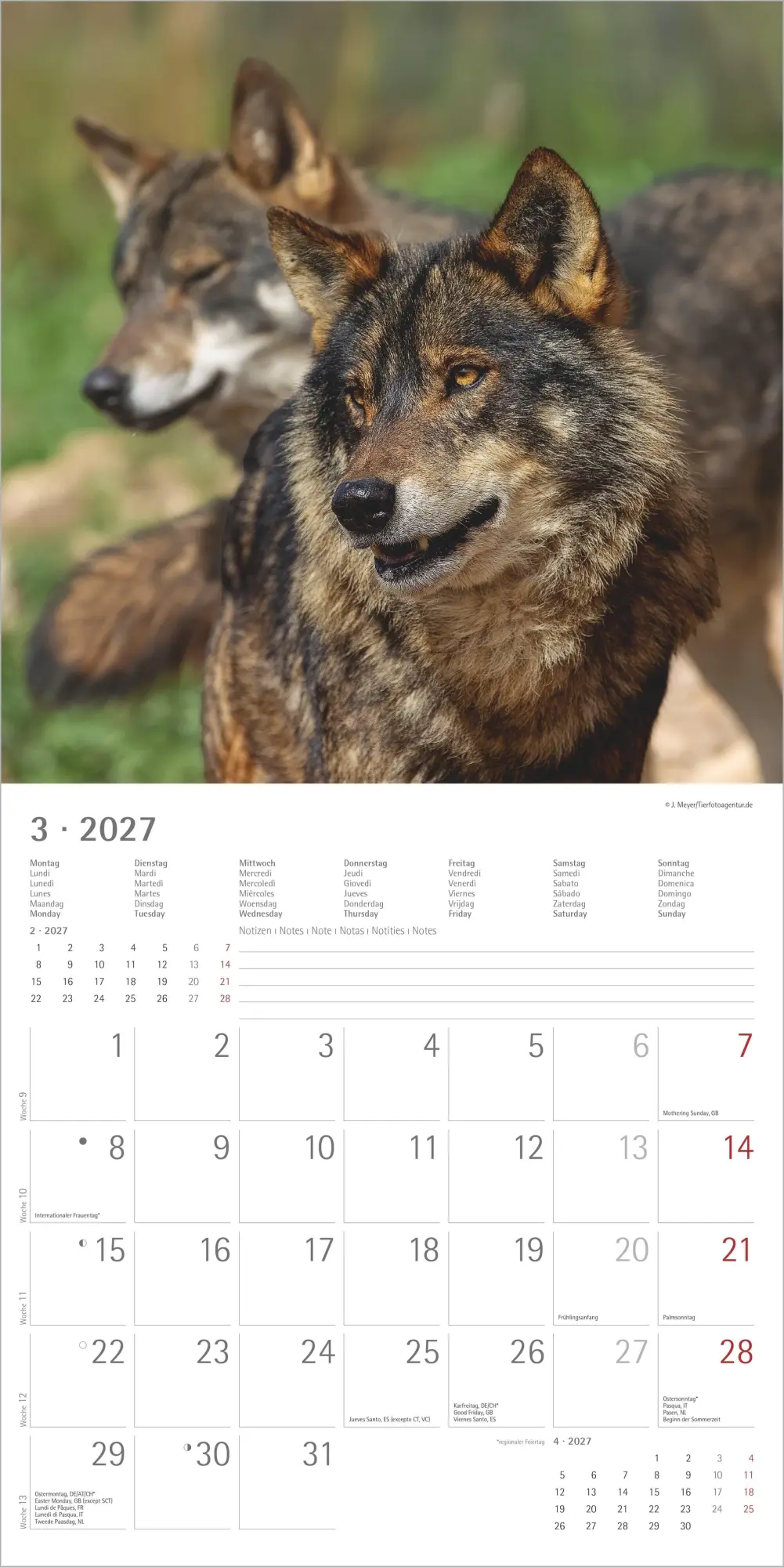 Bild: 4069095010611 | Wölfe 2027 | Neumann Verlage GmbH &amp; Co KG | Kalender | 14 S. | Deutsch