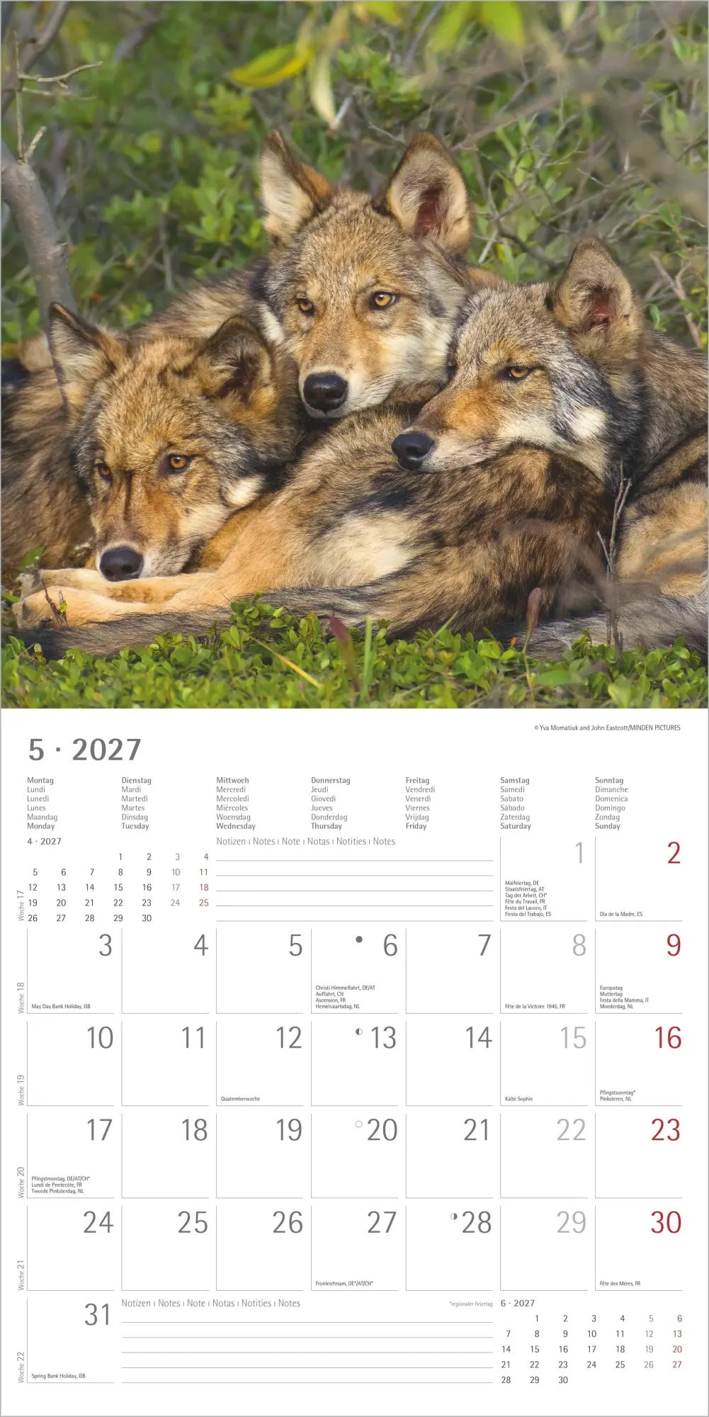 Bild: 4069095010611 | Wölfe 2027 | Neumann Verlage GmbH &amp; Co KG | Kalender | 14 S. | Deutsch