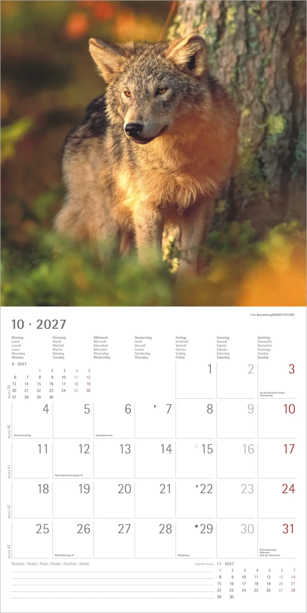 Bild: 4069095010611 | Wölfe 2027 | Neumann Verlage GmbH &amp; Co KG | Kalender | 14 S. | Deutsch