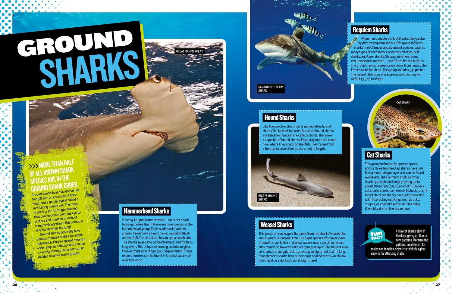 Bild: 9781426330711 | The Ultimate Book of Sharks | Brian Skerry | Buch | Englisch | 2018
