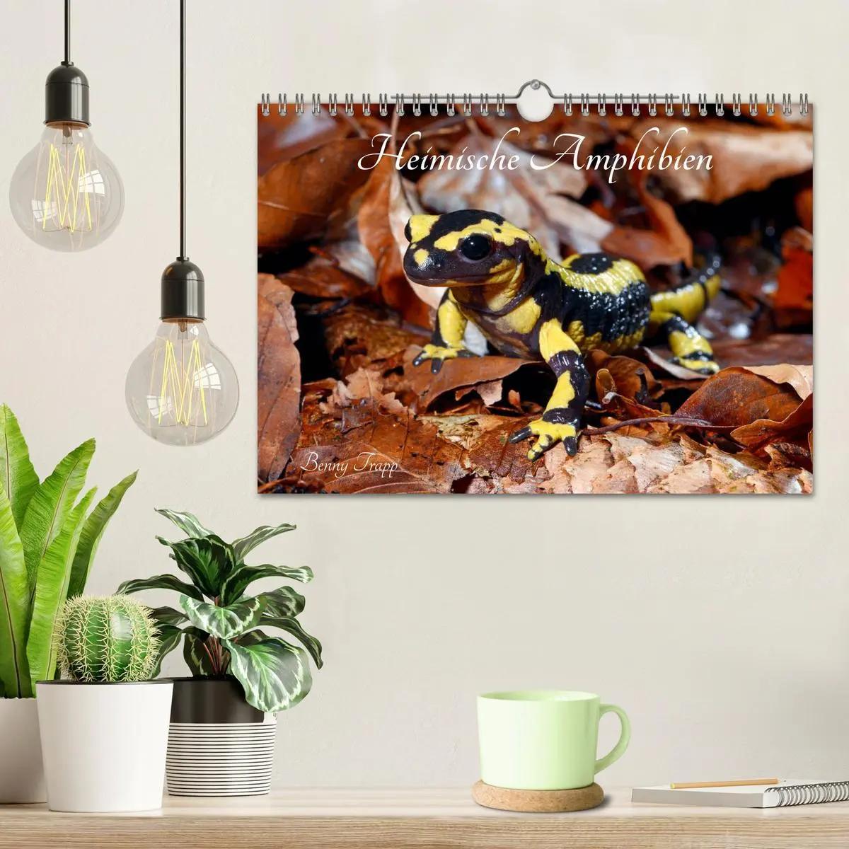 Bild: 9783457750711 | Heimische Amphibien (Wandkalender 2026 DIN A4 quer), CALVENDO...
