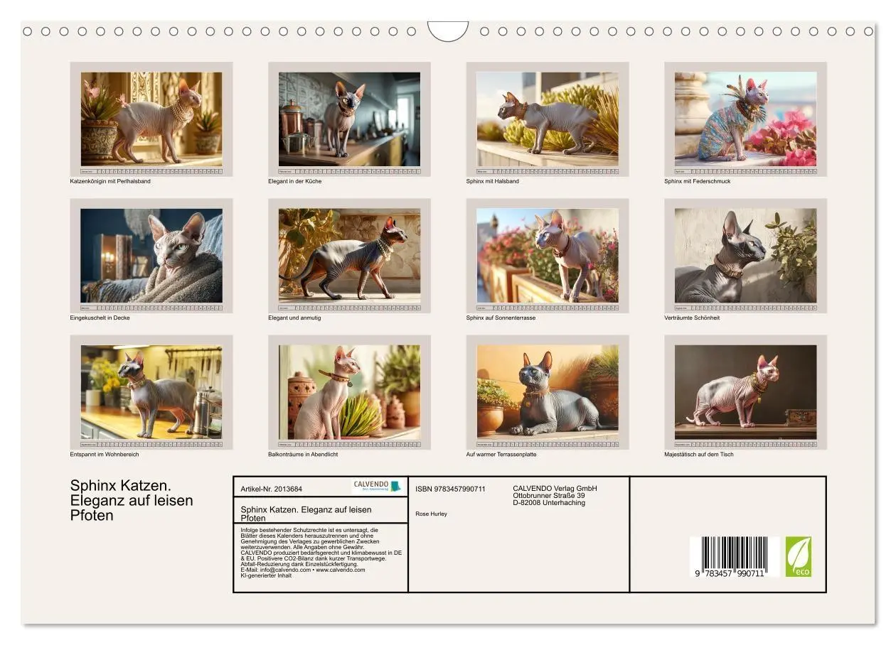 Bild: 9783457990711 | Sphinx Katzen. Eleganz auf leisen Pfoten (Wandkalender 2026 DIN A3...