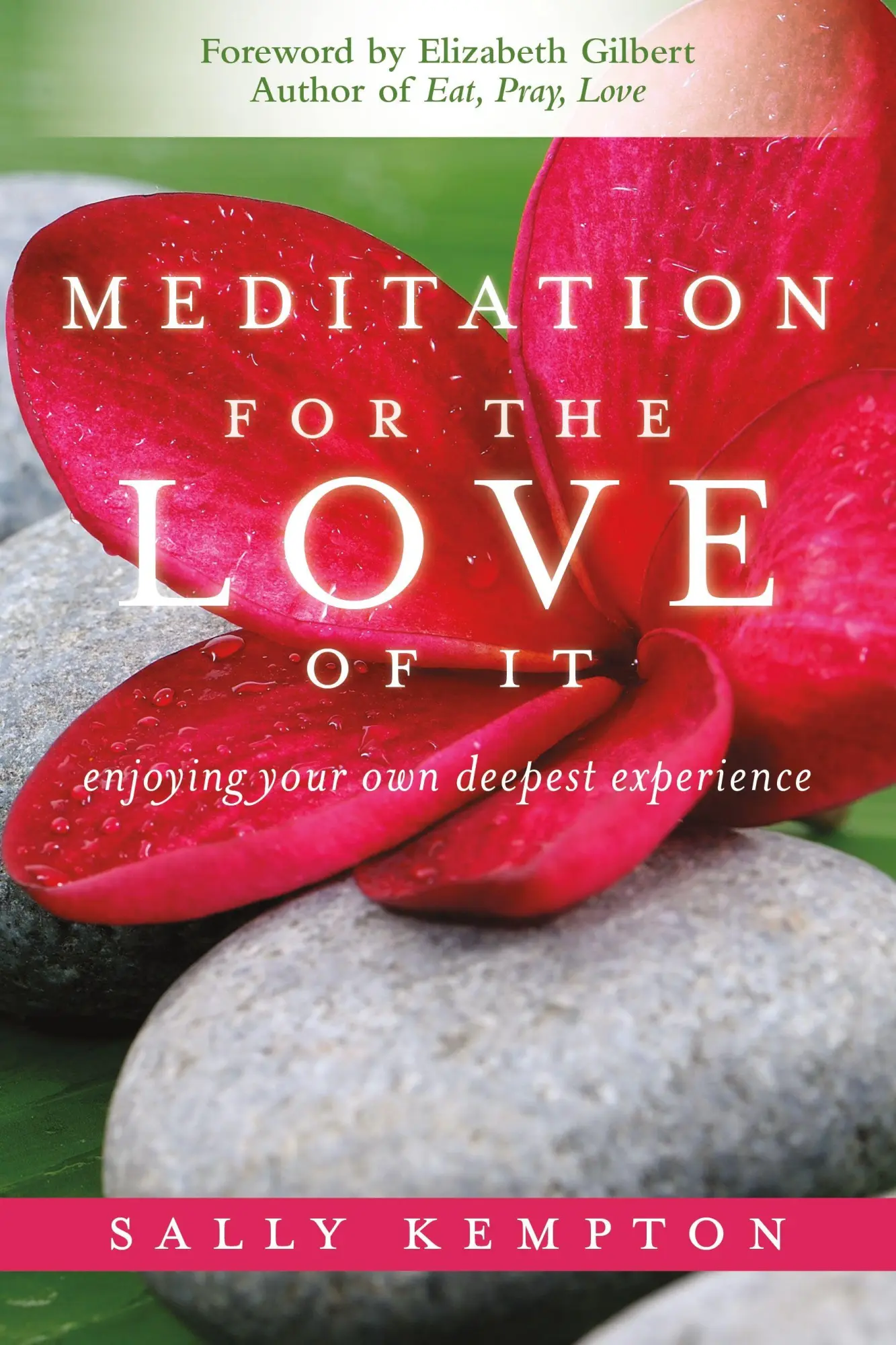 Cover: 9781604070811 | Meditation for the Love of It | Enjoying Your Own Deepest Experience