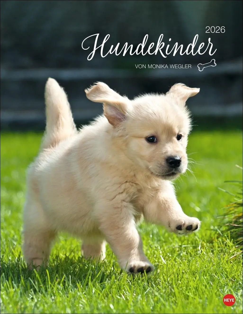 Cover: 9783756410811 | Hundekinder Posterkalender 2026 | Monika Wegler | Kalender | 14 S.