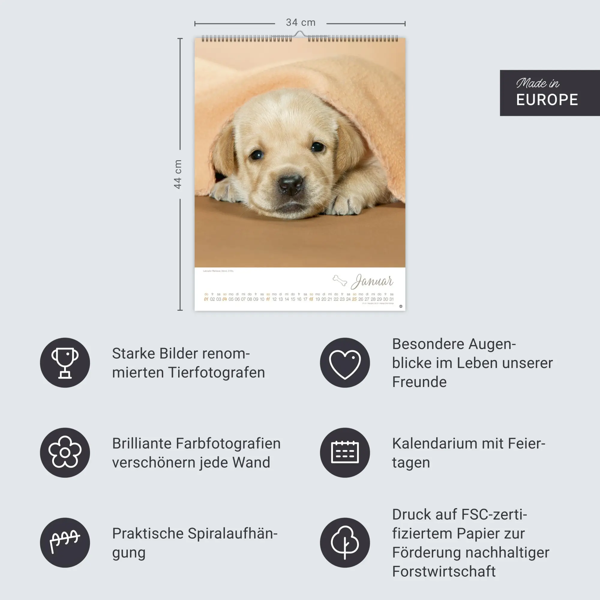 Bild: 9783756410811 | Hundekinder Posterkalender 2026 | Monika Wegler | Kalender | 14 S.