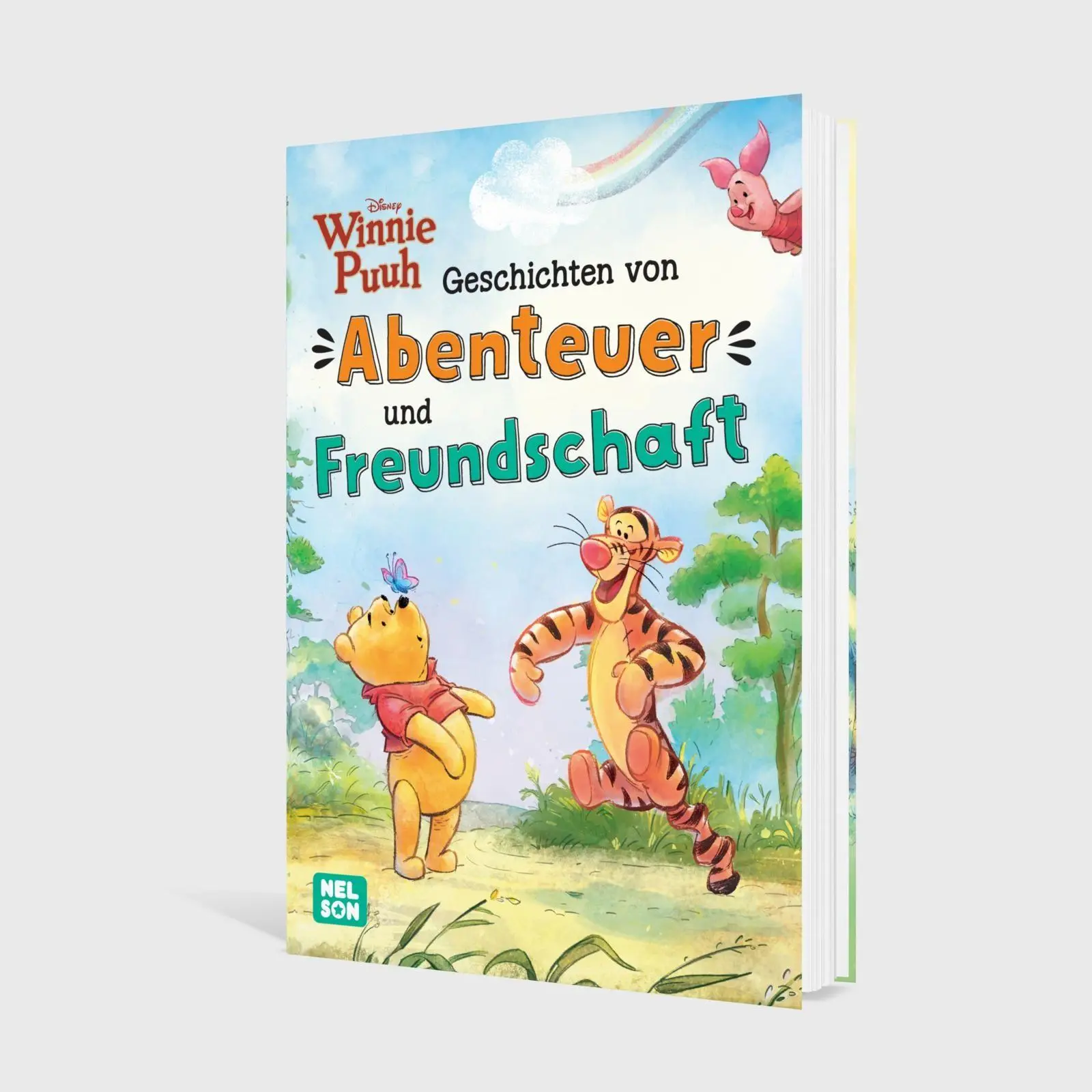 Bild: 9783845130811 | Disney Winnie Puuh: Geschichten von Abenteuer und Freundschaft | Buch