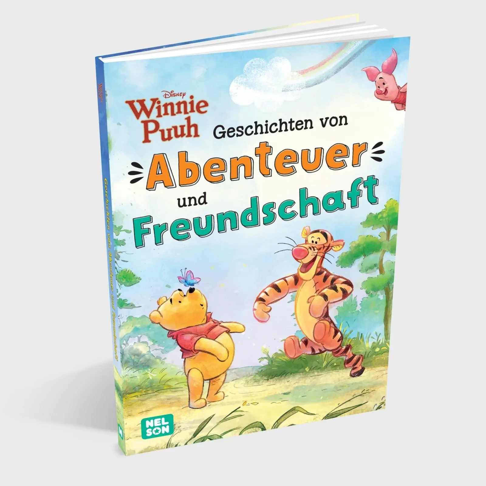 Bild: 9783845130811 | Disney Winnie Puuh: Geschichten von Abenteuer und Freundschaft | Buch