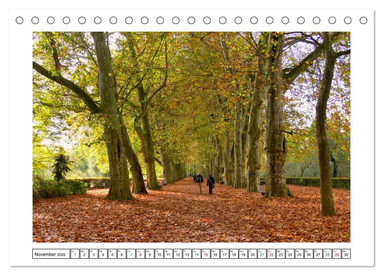 Bild: 9783457420911 | Tübingen im Fokus (Tischkalender 2026 DIN A5 quer), CALVENDO...