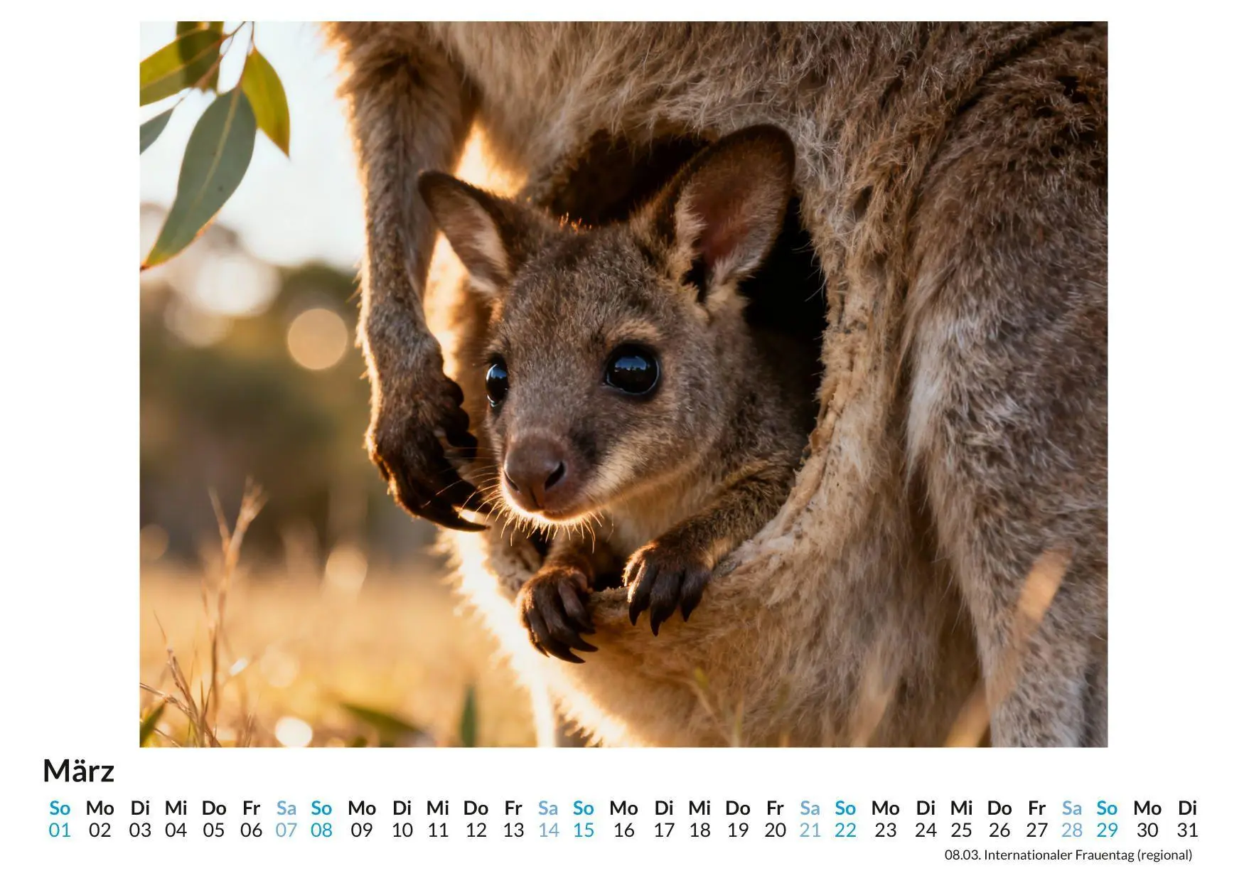 Bild: 9783695330911 | Känguru | Elias Krüger | Kalender | Deutsch | 2026 | FlipFlop