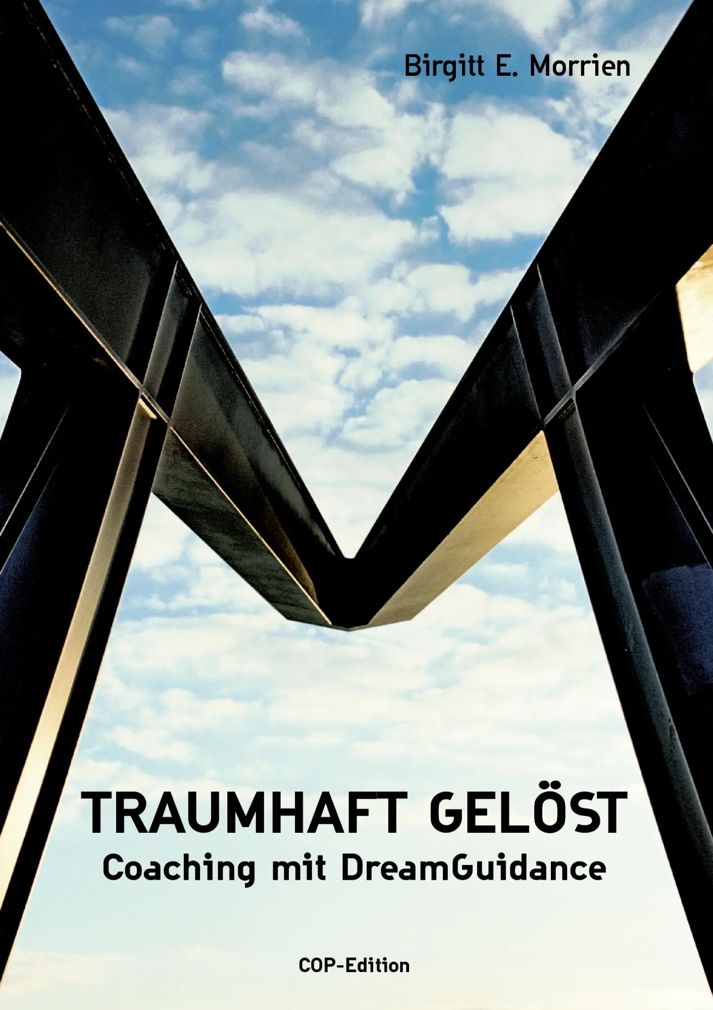 Cover: 9783833480911 | Traumhaft gelöst | Coaching mit DreamGuidance | Birgitt E. Morrien